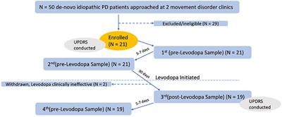 Effect of Levodopa Initiation on the Gut Microbiota in Parkinson's Disease